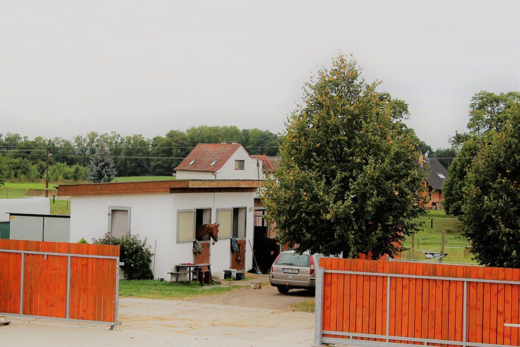Farma Ptyrov Hotel Mnichovo Hradiště Exterior foto